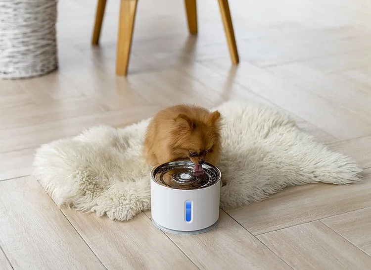 2.4L Automatic Pet Cat Water Fountain with LED Electric USB Dog Cat Pet Mute Drinker Feeder Bowl Pet Drinking Fountain Dispenser