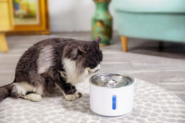 2.4L Automatic Pet Cat Water Fountain with LED Electric USB Dog Cat Pet Mute Drinker Feeder Bowl Pet Drinking Fountain Dispenser