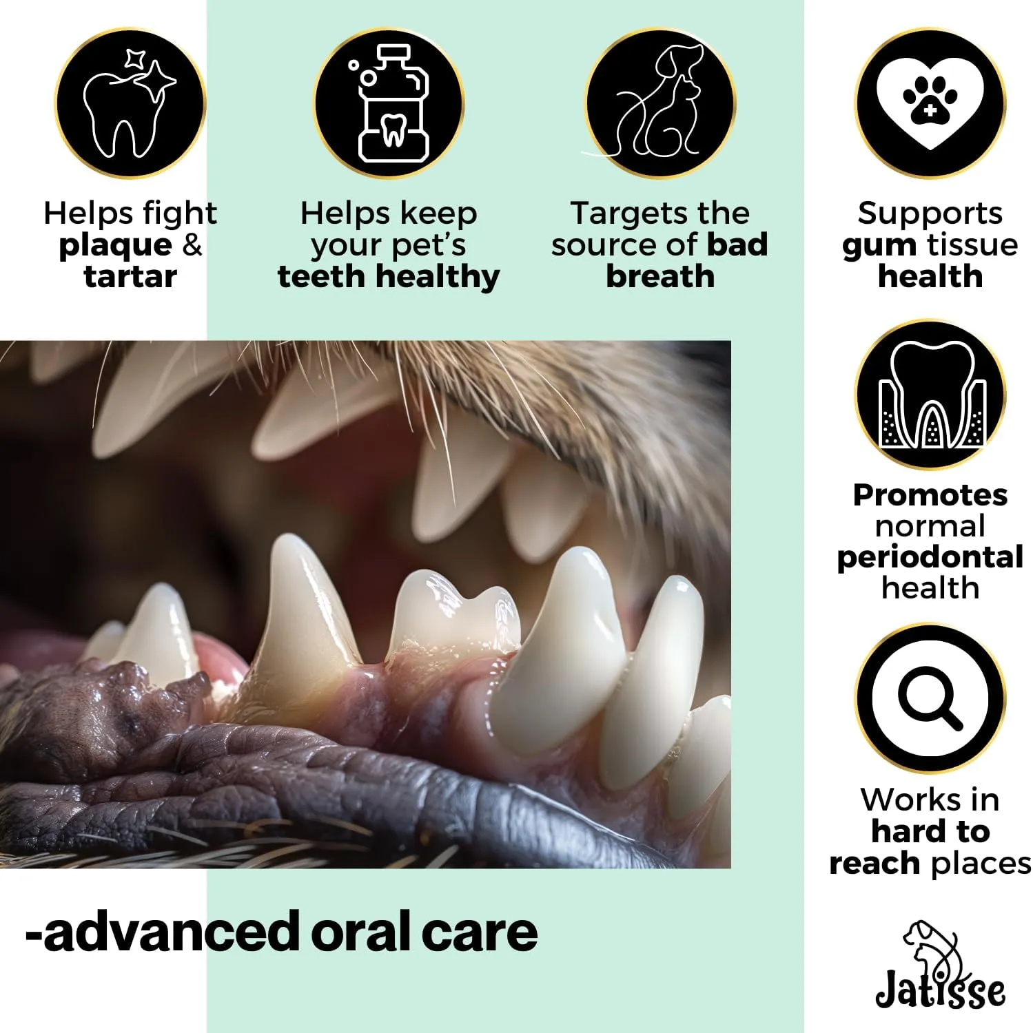 Cats and Dogs Water Additive for Oral and Dental Care: Eliminate Bad Dog Breath and Cat Bad Breath - Dog Breath Freshener - Fights Tartar & Plaque - Just Add to Water! (1.69 fl oz)