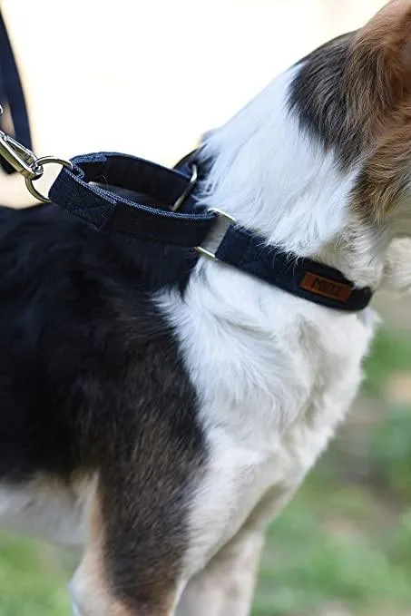 Dark Blue Denim Martingale Collar