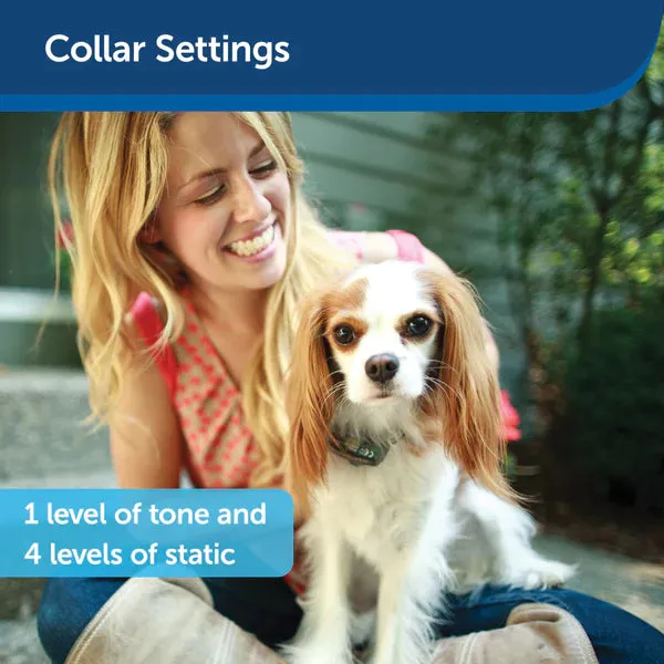 Deluxe Little Dog In-Ground Fence Receiver Collar
