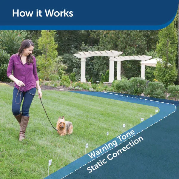 Deluxe Little Dog In-Ground Fence Receiver Collar
