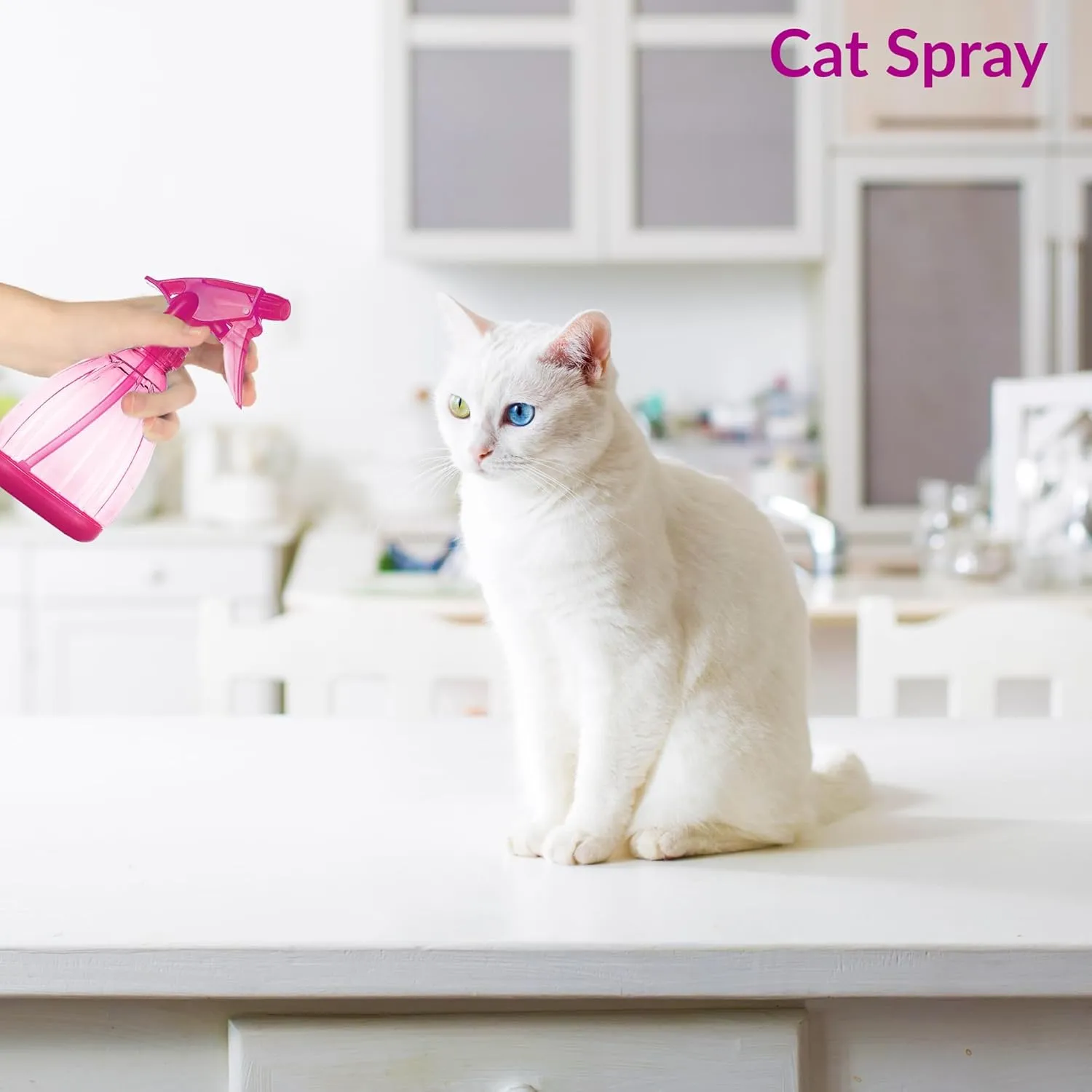 DilaBee Pink Spray Bottle (1-Pack 12 Oz) Plastic Spray Bottles for Cleaning, Hair, Plants, Cooking, BBQ - Water Sprayer for Plants, Bleach Sprayer, Plastic Squirt Bottles for Cat & Dog - BPA-Free