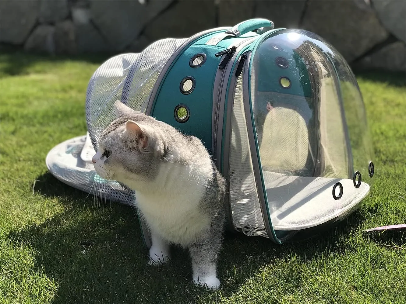 Dual Expandable Cat Backpack Carrier, Fit up to 20 lbs, Expandable Pet Carrier Backpack for Large Fat Cat and Small Puppy