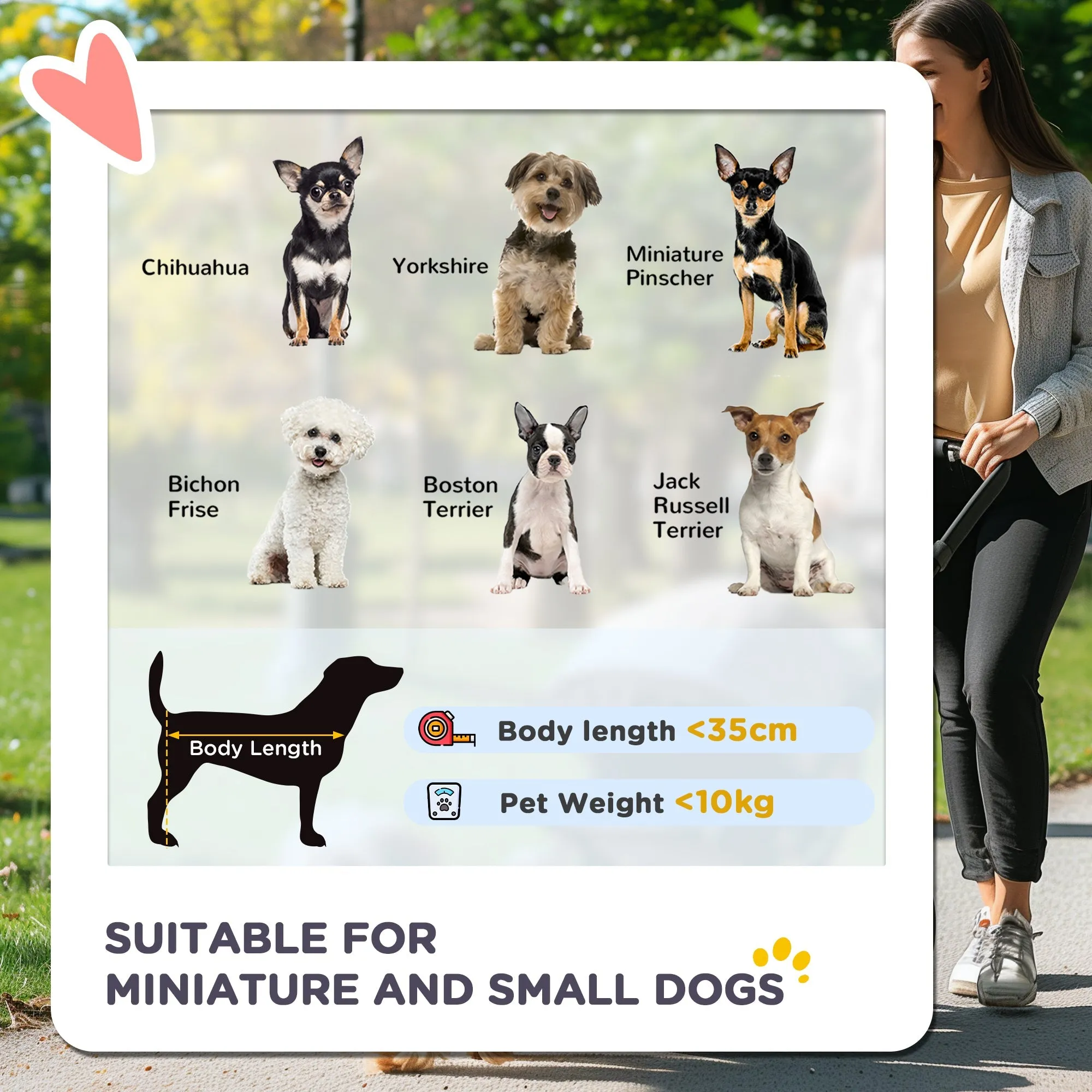 Foldable Pet Stroller for Small and Miniature Dog Dark Grey