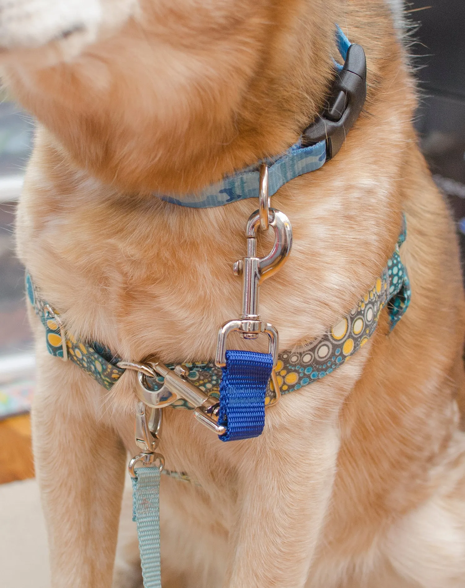 Harness to Collar Safety Clip - Solid colors