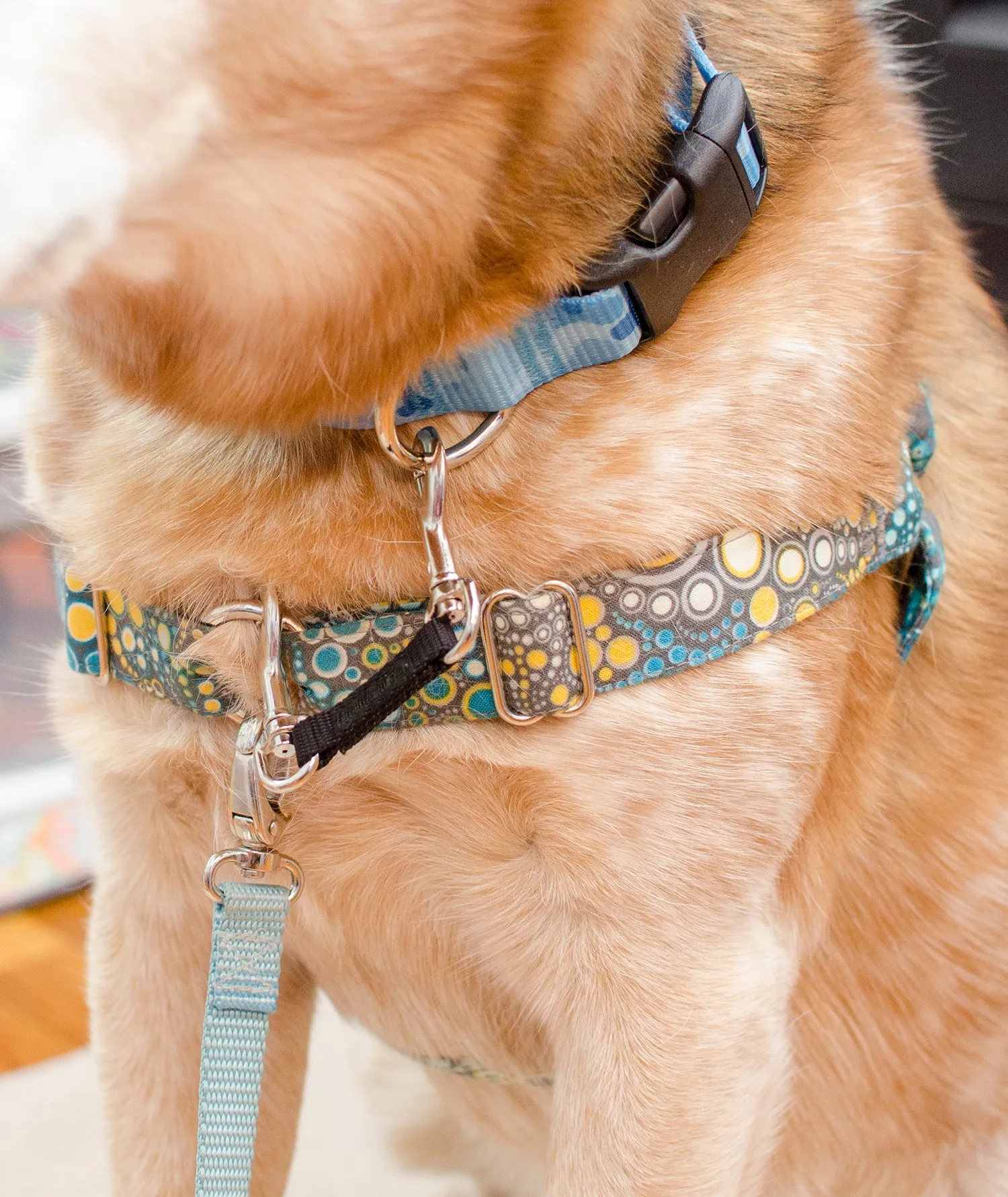Harness to Collar Safety Clip - Solid colors