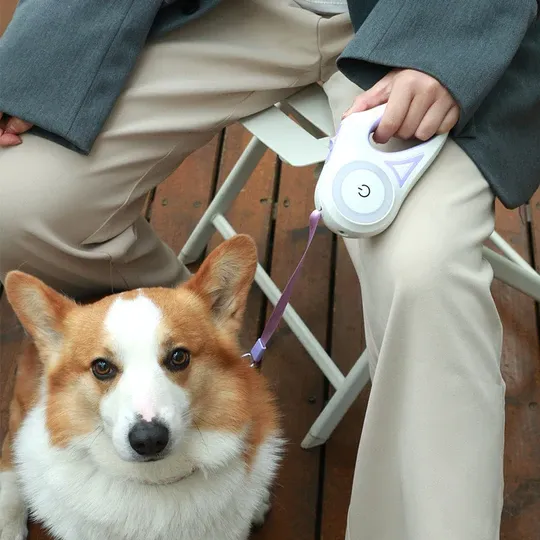 LED Light Retractable Dog Leash with Light