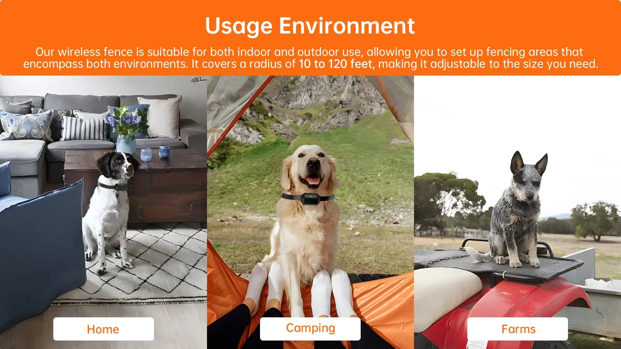 Multi-Purpose Wireless Dog Fence and Training System