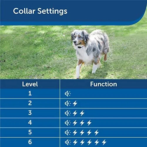 PetSafe Stay & Play Wireless Fence for Stubborn Dogs - Above Ground Electric Pet Fence - from the Parent Company of INVISIBLE FENCE Brand