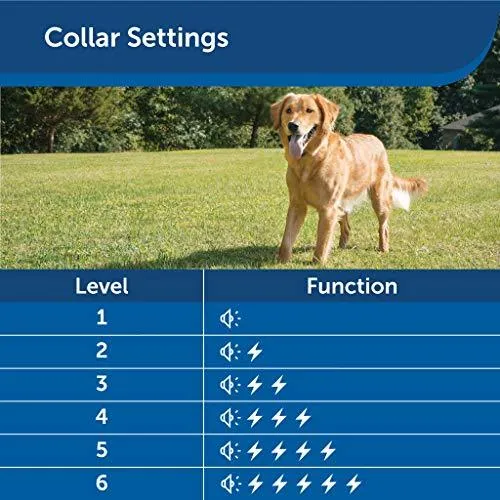 PetSafe Wireless Dog and Cat Containment System – Above Ground Electric Pet Fence – from the Parent Company of INVISIBLE FENCE Brand