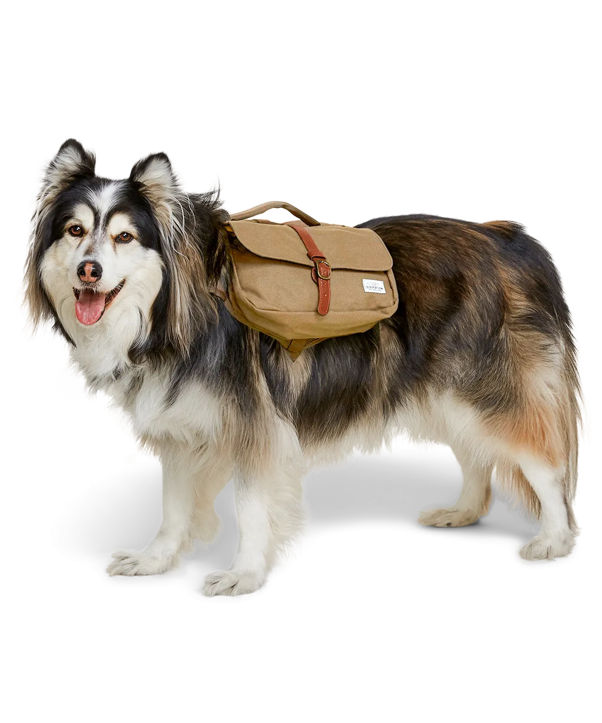 Ranger Pack - Whiskey