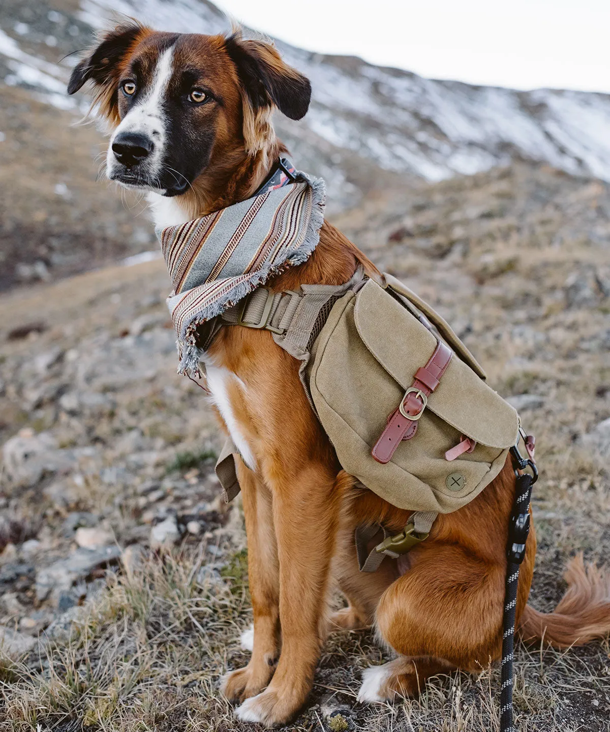 Ranger Pack - Whiskey