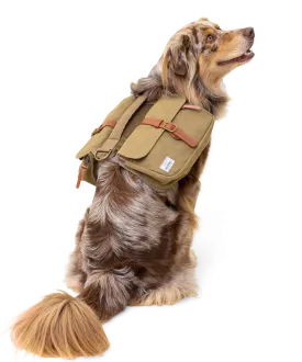 Ranger Pack - Whiskey