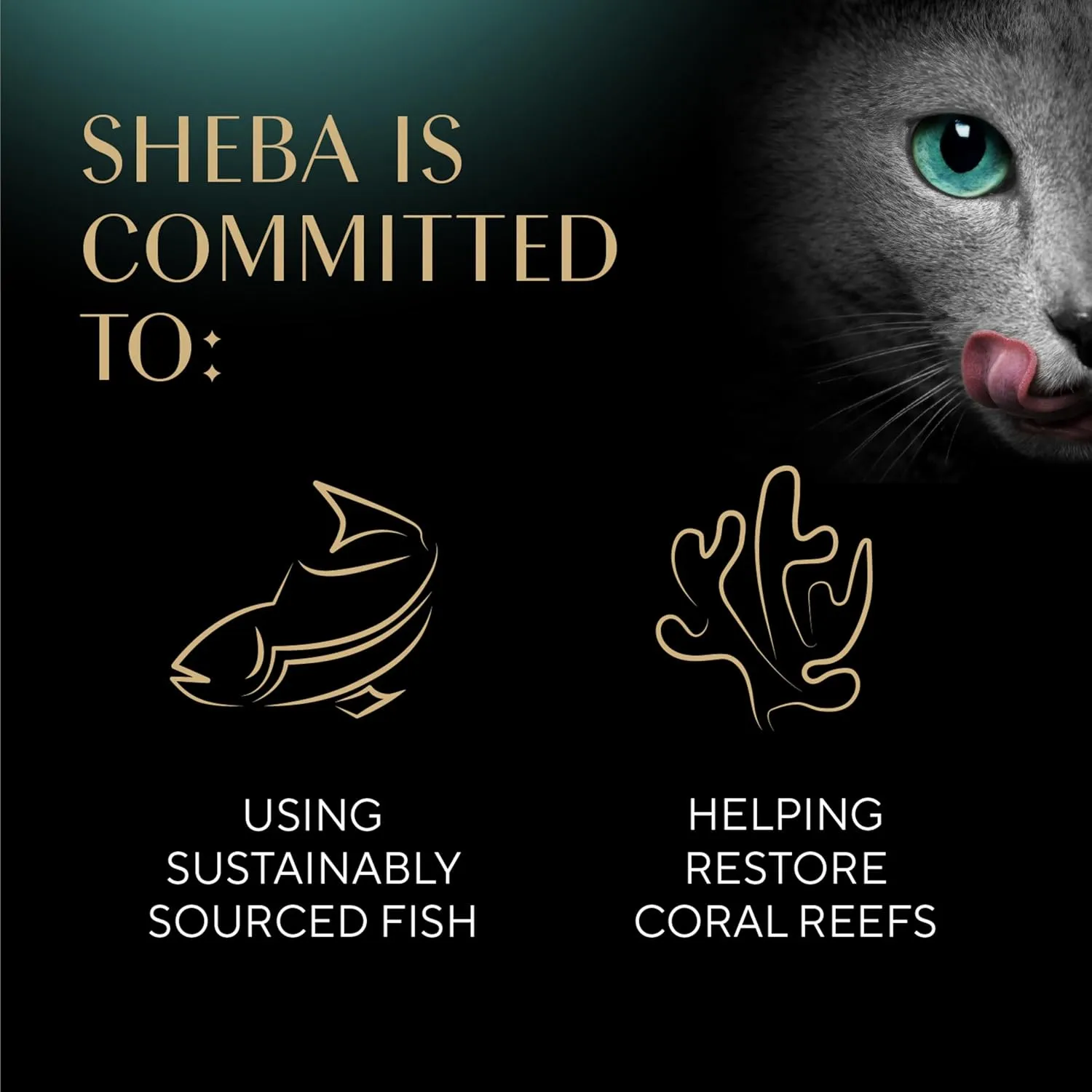 Sheba Meaty Tender Sticks Soft Cat Treats with Chicken, Tuna Flavor, and Salmon Flavor, 0.14 oz., 40 Count