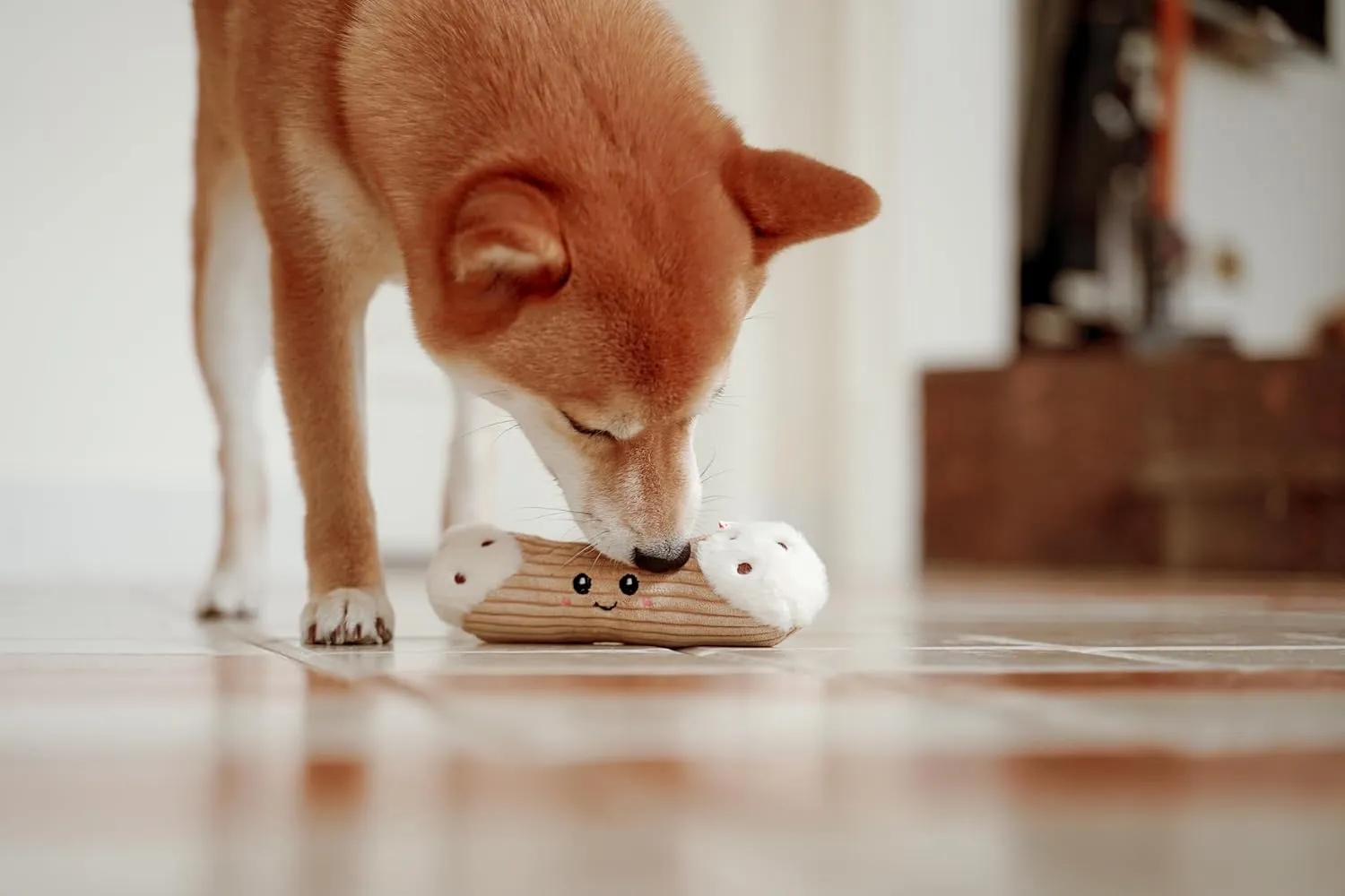 Squeaky Dog Plush Toy, Bakery Bite_Stick Collection, 8, for Small and Medium Dogs (Cannoli, Small)