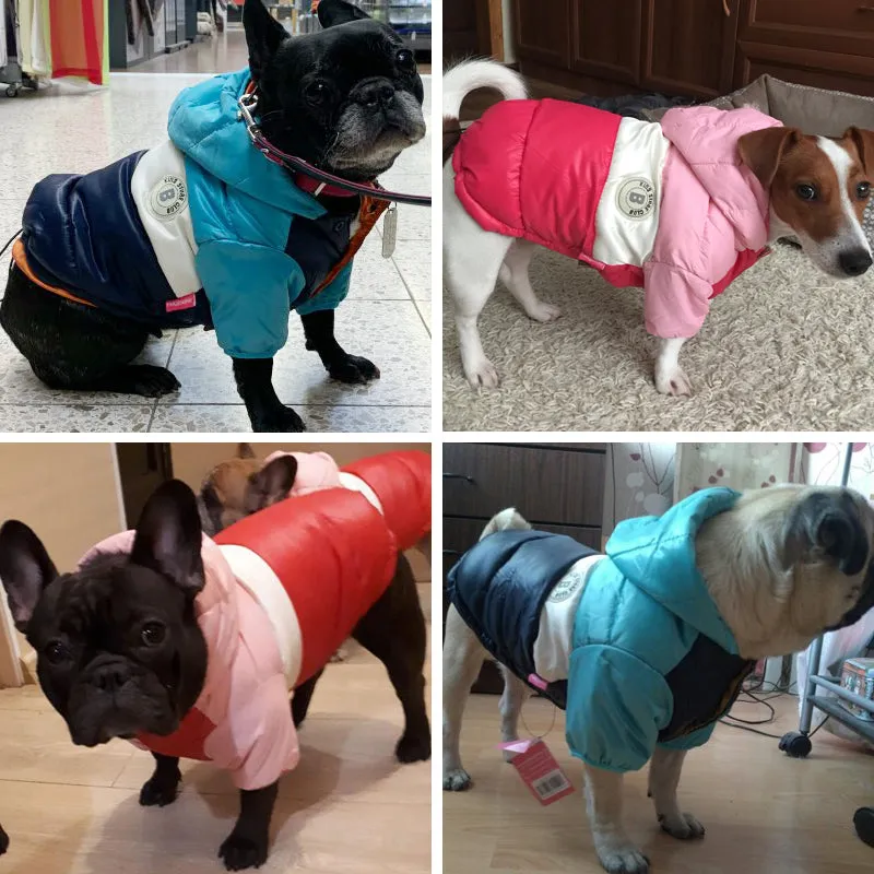Winter Coat Waterproof Coat for French Bulldog (CS032)