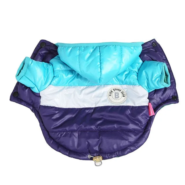 Winter Coat Waterproof Coat for French Bulldog (CS032)