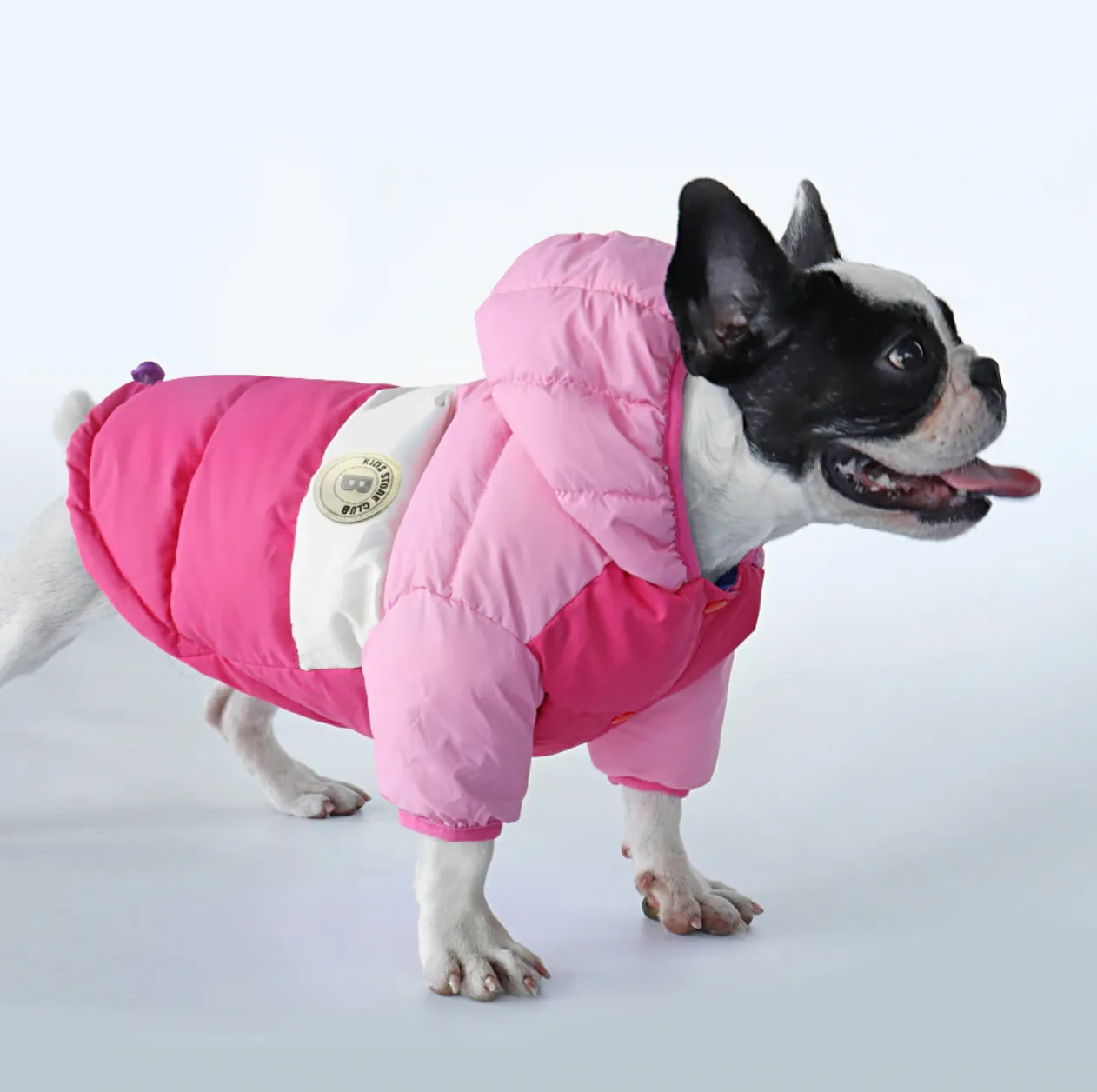Winter Coat Waterproof Coat for French Bulldog (CS032)